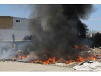 Yakılan çöpler hem havayı kirletiyor hem de insan sağlığını tehdit ediyor