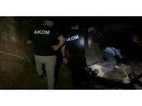 Kuyuda bulunan kayıp inek saatler süren çalışmayla kurtarıldı