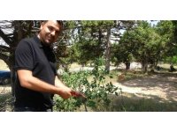 Ölmeden ölüm ilanı verildi, duyunca şok oldu