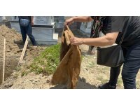 Baba ve kızları yan yana defnedildi