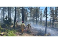 Mersin Gülnar’da orman yangını söndürüldü