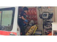 Yaya geçidinde kamyonetin çarptığı yaşlı kadın yaralandı