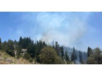 Mersin’deki orman yangını söndürüldü