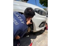 İskenderun’da aracın kaputuna giren kediyi itfaiye kurtardı