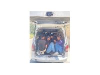 Minibüsü tıka basa göçmen dolduran şahıslar, yakayı ele verdi