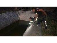 Su kuyusuna düşen sokak köpeği itfaiye ekiplerince kurtarıldı