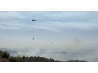 Adana’da orman yangını kontrol altında: 6 gözaltı