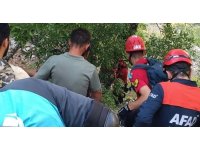 Ihlamur toplarken kayalıklardan düşen emekli polis hayatını kaybetti