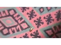 Adana’da yorgun mermi, ailenin oturduğu çardağa isabet etti