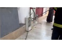 Doğal gaz kutusuna giren yılan doğal ortamına bırakıldı