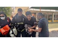Alevlerin sardığı evde balkona sığındı kedisini elinden bırakmadı