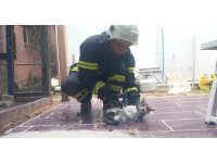 Balık ağına takılan kediyi itfaiye kurtardı