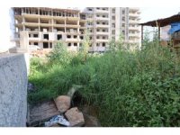 Adana’da çevre skandalı: Boru döşeyip lagımı Kilgen Çayı’na bırakmışlar