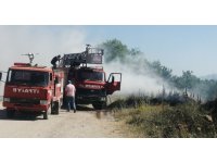 Gelendost’ta göl kenarında çıkan yangında 200 dönüm alan zarar gördü