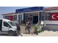 Şüphe uyandırmamak için LG logolu teknik servis aracıyla göçmen kaçırırken yakalandılar