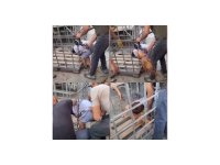 Kafesin parmaklıklarına sıkışan çocuk, demir kesilerek kurtarıldı