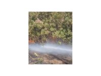 Osmaniye’de çalılık alanda çıkan yangın söndürüldü