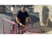 Çatılara kurulan kafeste işe yaramadı, firari maymun hala yakalanamadı