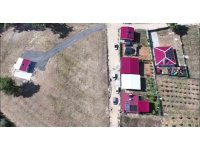 FETÖ korkusu salıp: 2 milyon 400 bin TL’lik vurgun yaptılar