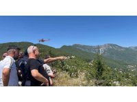 Alanya’da çıkan orman yangını kısmen kontrol altına alındı