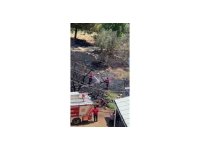 Mersin’de kayısı bahçesinde yangın