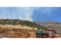 Kahramanmaraş’ta orman yangını sürüyor