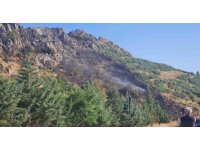 Bucak’taki orman yangını söndürüldü