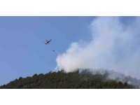 Yakılan anız, orman yangınına neden oldu: Müdahale sürüyor