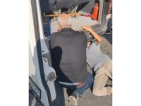 Minibüste yavru kedi kurtarma seferberliği