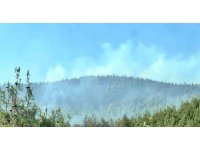 Kahramanmaraş’taki ikinci orman yangını da kontrol altında