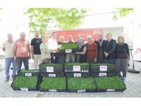 Mersin’de tarım destekleri üreticiyi sevindiriyor