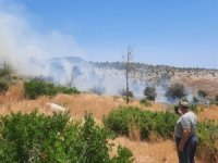 Silifke’de ağaçlık alanda çıkan yangın kontrol altına alındı