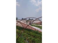 Antalya’da hortum seralara zarar verdi