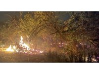 Mersin’de üç noktada çıkan yangın kontrol altına alındı