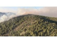 Antalya Gazipaşa’da orman yangını