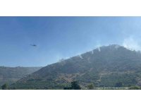 Antalya’daki orman yangını 3 saatte kontrol altına alındı