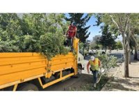 Kahramanmaraş’ta fırtınanın oluşturduğu hasar ortadan kaldırılıyor