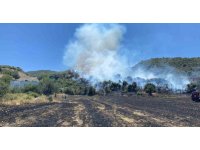 Osmaniye’deki anız yangını ormana sıçradı