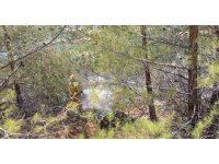 Mersin Mut’ta orman yangını