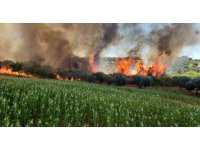 Antalya’da ormanlık ve kırsal alanda çıkan yangın kontrol altına alındı