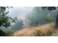 Kahramanmaraş’ta orman yangını büyümeden söndürüldü