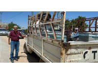 Alevlerin arasına arılarını kurtarmaya geldi