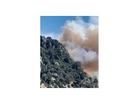 Mersin Bozyazı’da orman yangınına ekipler müdahale ediyor