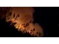 Adana ve Osmaniye’de 14 farklı noktada orman yangını çıktı, 13’ü kontrol altında