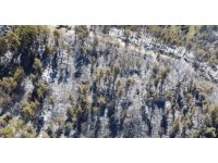 Adana’da 14 saatte 250 hektar orman yandı, acı bilanço havadan görüntülendi