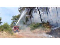 Manavgat’ta ormanlık alan yangınında 3 hektar alan zarar gördü