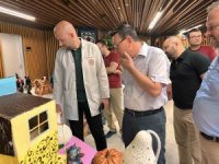 Antalya Şehir Hastanesi AMATEM biriminden farkındalık sergisi