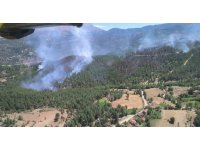 Isparta’daki orman yangınında 20 hektar alan zarar gördü