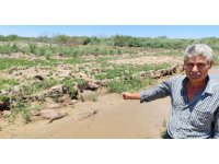 "Dereden su içen 40 küçükbaş hayvanım telef oldu"