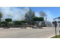 Manavgat’ta çıkan çalılık yangını korkuttu